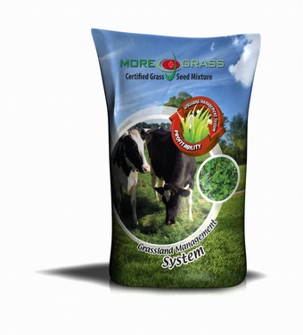 EXTRA INTAKE MG90 Chicory & Rye-grass Grass seed > Moregrass
