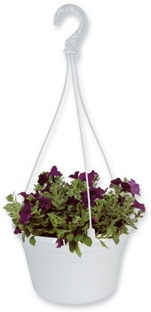 27cm Hanging Basket Hanging Baskets