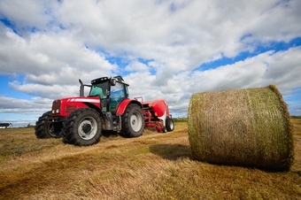 MG72 Equine Hay Mixture Grass seed > Equine Mixtures