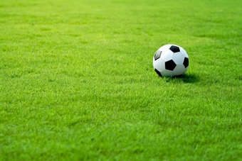 Luxury Lawn 5kg (Hardwearing) certified seed Lawn Collection