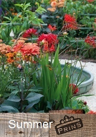 Prins Summer Bulb Catalogue Bulb Collection > - Spring & Autumn