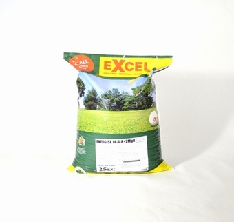 Excel Energise Fertiliser 25kg Lawn Collection