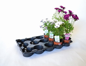MT15v\10.5 Trays