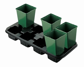 Plaque 25 Growers Collection > - Marketing Trays