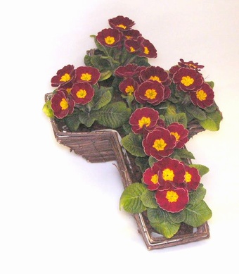 Small Cross Wicker Collection