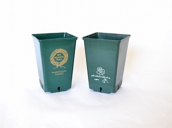 Your Logo here Personalised Pots