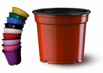 Penta 10.5cm 5 degree Low Growers Collection > - Pots